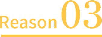 reason03
